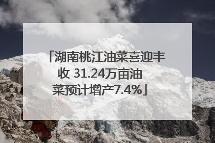 湖南桃江油菜喜迎丰收 31.24万亩油菜预计增产7.4%