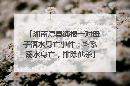 湖南澧县通报一对母子落水身亡事件：均系溺水身亡，排除他杀
