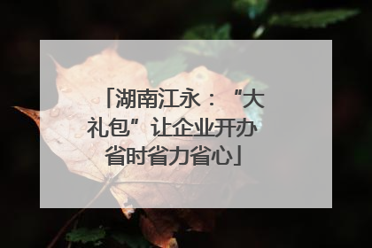 湖南江永：“大礼包”让企业开办省时省力省心