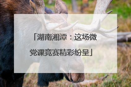 湖南湘潭：这场微党课竞赛精彩纷呈