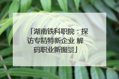 湖南铁科职院：探访专精特新企业 解码职业新图景