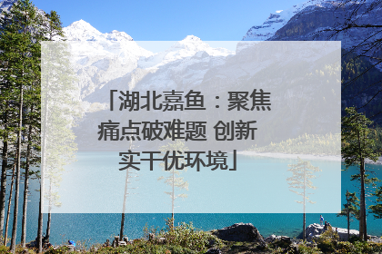 湖北嘉鱼：聚焦痛点破难题 创新实干优环境
