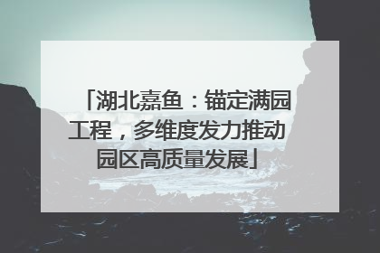 湖北嘉鱼：锚定满园工程，多维度发力推动园区高质量发展