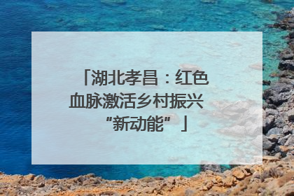 湖北孝昌：红色血脉激活乡村振兴“新动能”