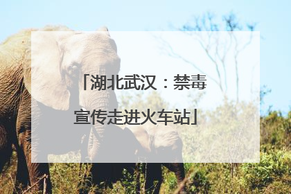 湖北武汉：禁毒宣传走进火车站