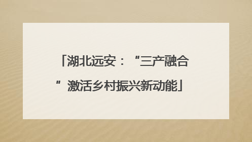 湖北远安：“三产融合”激活乡村振兴新动能