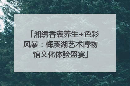 湘绣香囊养生+色彩风暴：梅溪湖艺术博物馆文化体验盛宴