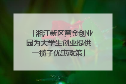 湘江新区黄金创业园为大学生创业提供一揽子优惠政策