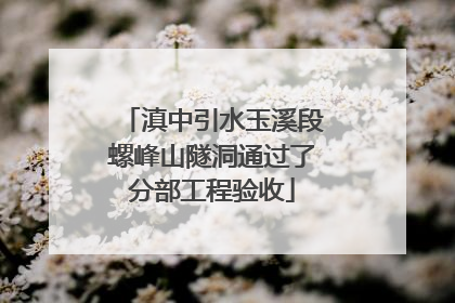 滇中引水玉溪段螺峰山隧洞通过了分部工程验收