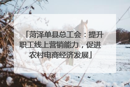 菏泽单县总工会：提升职工线上营销能力，促进农村电商经济发展