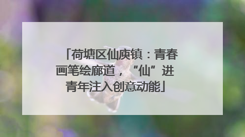 荷塘区仙庾镇：青春画笔绘廊道，“仙”进青年注入创意动能