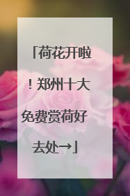 荷花开啦！郑州十大免费赏荷好去处→
