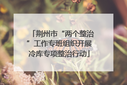 荆州市“两个整治”工作专班组织开展冷库专项整治行动