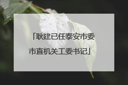 耿建已任泰安市委市直机关工委书记