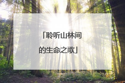 聆听山林间的生命之歌