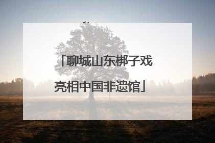 聊城山东梆子戏亮相中国非遗馆