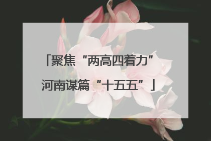 聚焦“两高四着力” 河南谋篇“十五五”
