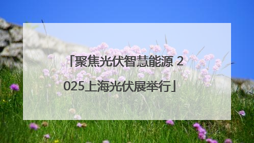 聚焦光伏智慧能源 2025上海光伏展举行