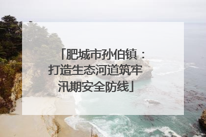 肥城市孙伯镇：打造生态河道筑牢汛期安全防线
