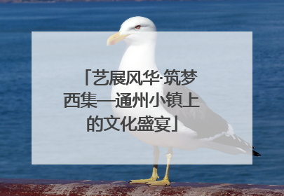 艺展风华·筑梦西集—通州小镇上的文化盛宴