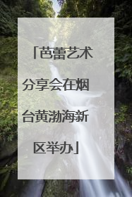 芭蕾艺术分享会在烟台黄渤海新区举办