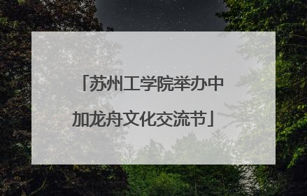 苏州工学院举办中加龙舟文化交流节