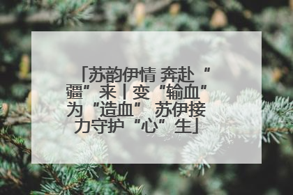 苏韵伊情 奔赴“疆”来丨变“输血”为“造血” 苏伊接力守护“心”生