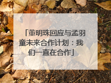 董明珠回应与孟羽童未来合作计划：我们一直在合作