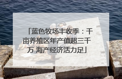 蓝色牧场丰收季：千亩养殖区年产值超三千万 海产经济活力足