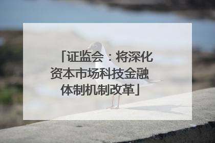 证监会：将深化资本市场科技金融体制机制改革
