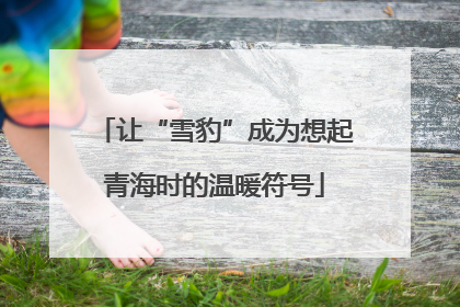 让“雪豹”成为想起青海时的温暖符号