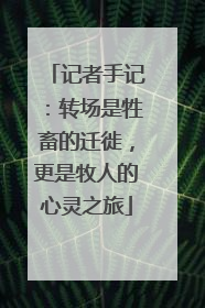 记者手记：转场是牲畜的迁徙，更是牧人的心灵之旅