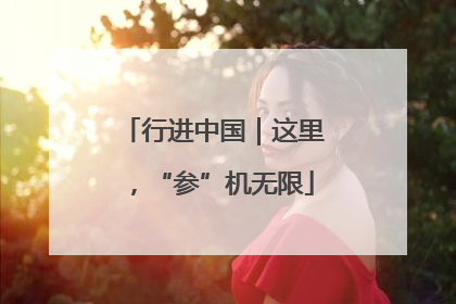 行进中国｜这里，“参”机无限