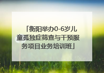 衡阳举办0-6岁儿童孤独症筛查与干预服务项目业务培训班