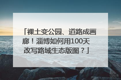 裸土变公园、道路成画廊！淄博如何用100天改写路域生态版图？