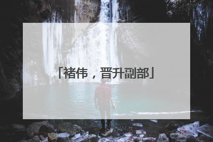 褚伟，晋升副部