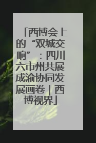 西博会上的“双城交响”：四川六市州共展成渝协同发展画卷｜西博视界