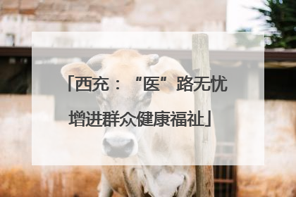 西充：“医”路无忧 增进群众健康福祉