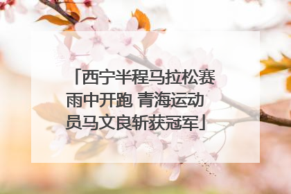 西宁半程马拉松赛雨中开跑 青海运动员马文良斩获冠军