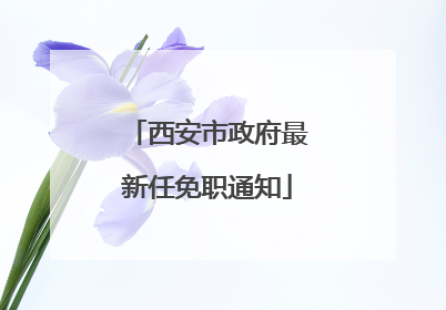 西安市政府最新任免职通知