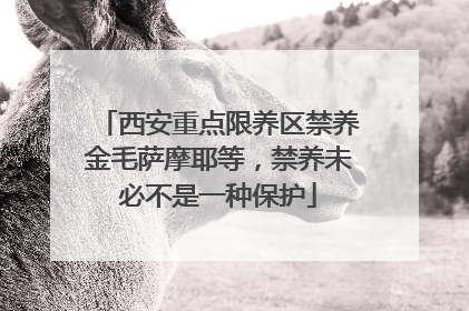 西安重点限养区禁养金毛萨摩耶等，禁养未必不是一种保护