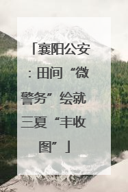 襄阳公安：田间“微警务”绘就三夏“丰收图”