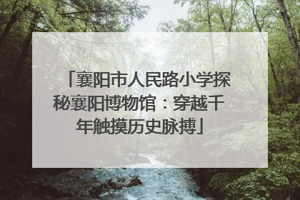 襄阳市人民路小学探秘襄阳博物馆：穿越千年触摸历史脉搏