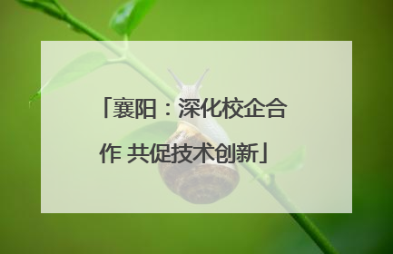 襄阳：深化校企合作 共促技术创新