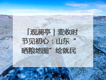 观澜亭｜麦收时节见初心：山东“晒粮地图”绘就民生温暖画卷