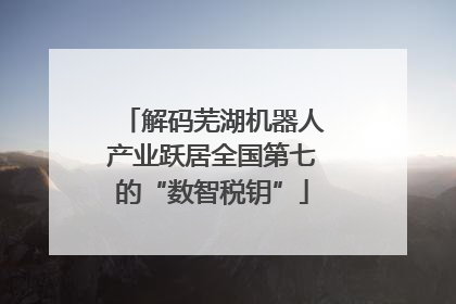 解码芜湖机器人产业跃居全国第七的“数智税钥”