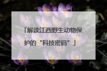 解读江西野生动物保护的“科技密码”