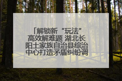 解锁新“玩法” 高效解难题 湖北长阳土家族自治县综治中心打造矛盾纠纷调处“终点站”