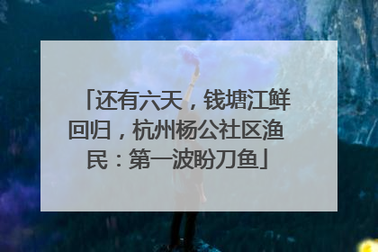 还有六天，钱塘江鲜回归，杭州杨公社区渔民：第一波盼刀鱼