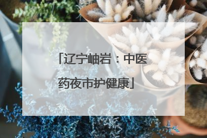 辽宁岫岩：中医药夜市护健康